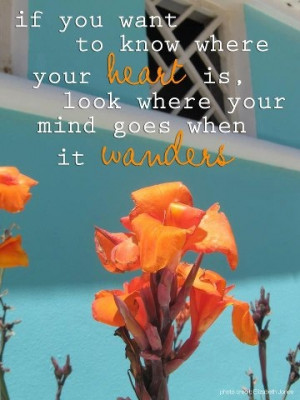 ... know where your #heart is, look where your mind goes when it wanders