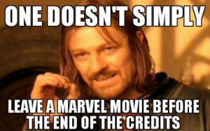 Never leave a marvel movie before the end of the credits. You will ...