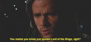 1k * my gifs spoilers lord of the rings supernatural LOTR Samwise ...