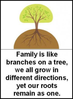 ... In Different Directions, Yet Our Roots Remain As One. ~ Brother Quotes