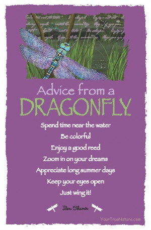 Spirit Totem Animals: #Advice from a #Dragonfly.