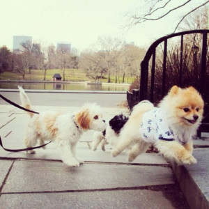 don’t matter if I lose this fight. All I wanna do is go the distance ...