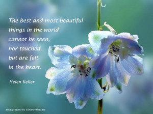 ... and Most Beautiful things In the World Cannot be seen ~ Flowers Quote