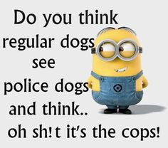 Watch out for the popo #minions #dogs #police