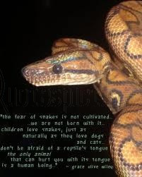 ... ://www.pics22.com/the-fear-of-snake-animal-quote/][img] [/img][/url