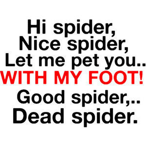 Funny Spider Quotes http://imgfave.com/view/1550334