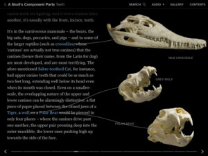 Ipad+1+price+walmart
