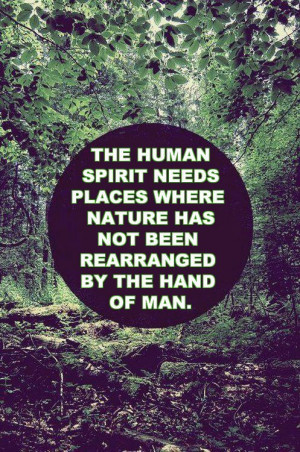 love quote beautiful hippie nature peace this