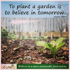 ... food system what do you believe in more sustainable food farms quotes