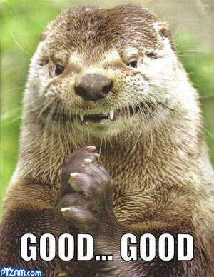 Funny Otter