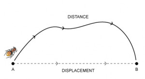section 11 1 distance and displacement