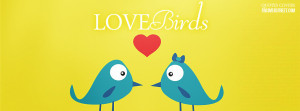 love birds wallpaper lets be love birds facebook bird wallpapers