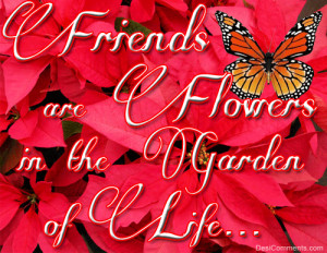 Friends Are Flowers in the Garden of Life ~ Friendship Quote