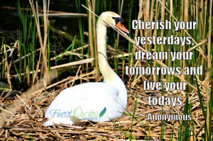 Cherish your yesterdays, dream your tomorrows and live your todays.