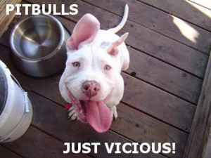 When People Say Pit Bulls Are The Worst Dogs, Just Show Them This…