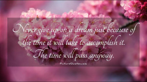 give up on a dream just because of the time it will take to accomplish ...