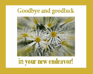 goodbye and good luck quotes for coworkers