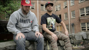 Posted in EVENTS , Nature , Series , Videos |