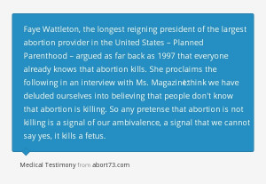 Faye Wattleton quote