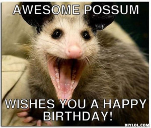 Funny Possum Meme Resized_awesome-possum-meme-