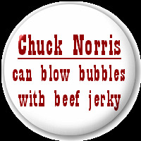 Chuck Norris Can Blow Bubbles With Beef Jerky