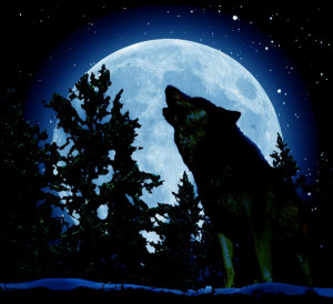 quotes about wolves howling