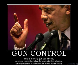 Obama and the Gun Rights Gamble