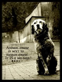 stop animal abuse Pictures, Images and Photos