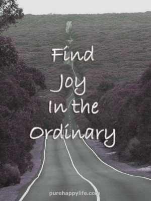 Inspirational Quote: Find joy in the ordinary.