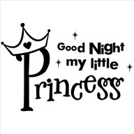 Good Night My Little Princess ~ Good Night Quote