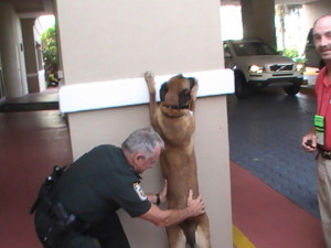 Police Dog Smiling F...