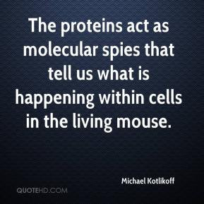 Michael Kotlikoff - The proteins act as molecular spies that tell us ...