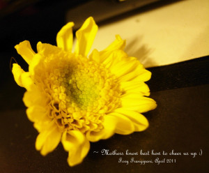 Sunflower Quotes Cover Photo Sunflower's charm
