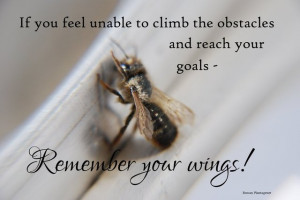 Inspirational wallpaper on Obstacles: If you feel unable to climb