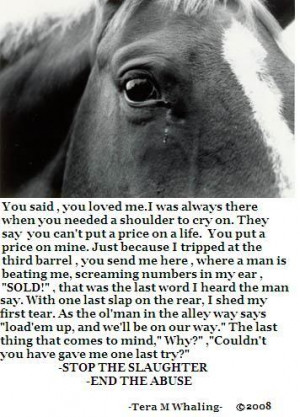 stop animal cruelty quotes