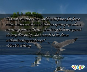 Do not conquer the world with force,
