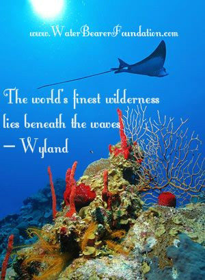 ... .com/ beach quotes diving quotes ocean quotes diving