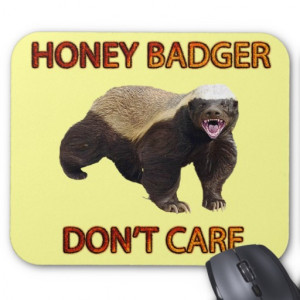 Honey Badger Don't Care, Funny, Cool, Nasty Animal Mouse Mat