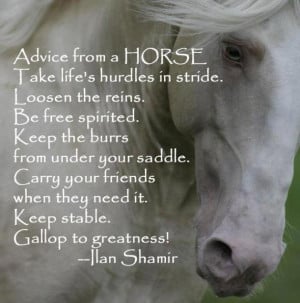 Advice from a horse