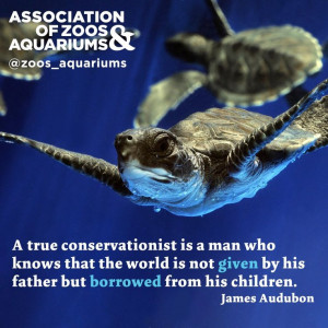 Great quote by James Audubon
