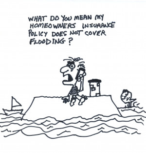 insurance quotes young drivers