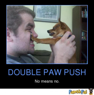 Funny Image Collection