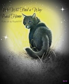 This is Cinderpelt, one of ThunderClan's medicine cats. She was ...