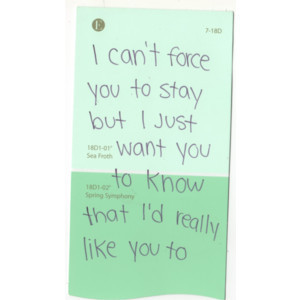 Paint Samples with Quotes