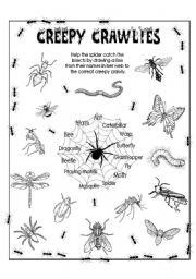 Related Pictures drawing worksheets insects at enchantedlearning com