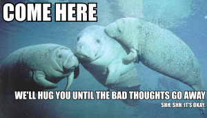 Nothing like supportive manatees :-)