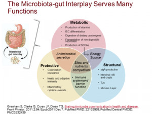 As long as these beneficial organisms are in charge, the gut functions ...