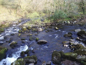 stream a brook is smaller than a creek stream brook creek and rivulet ...