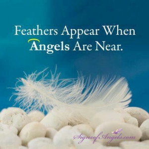 Feathers Appear When Angels Are Near.