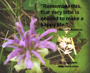 Remember this, that very little is needed to make a happy life.
